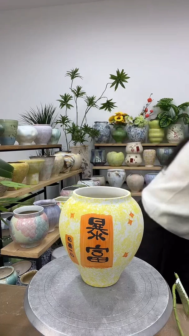 9.8陶瓷花盆直播链接高.   19   口11