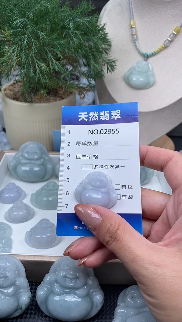 颈饰未镶嵌翡翠纯天然A货缅翡2955