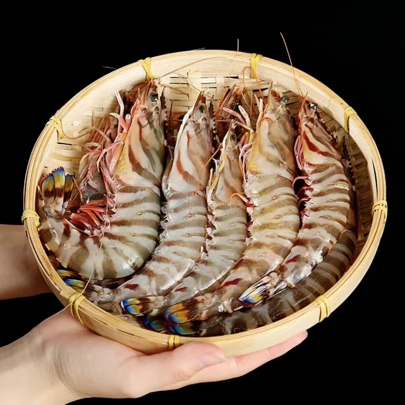 舟山船冻竹节虾船冻海鲜海捕大虾斑节虾九节虾顺丰冷链舟山直发