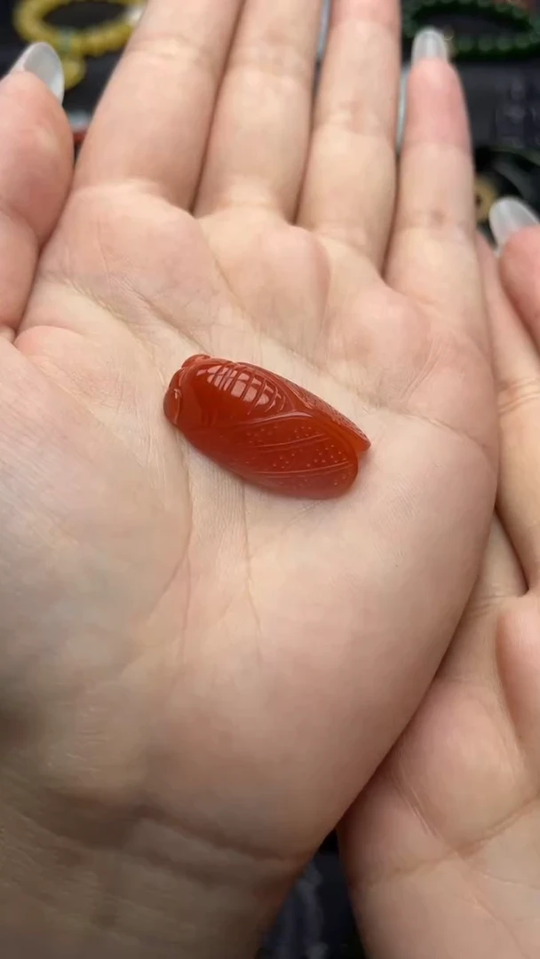 颈饰未镶嵌南红玛瑙一鸣惊人