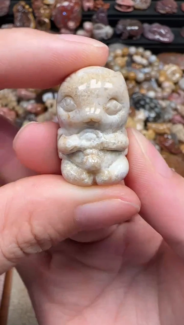 颈饰未镶嵌硅化珊瑚（珊瑚玉）511