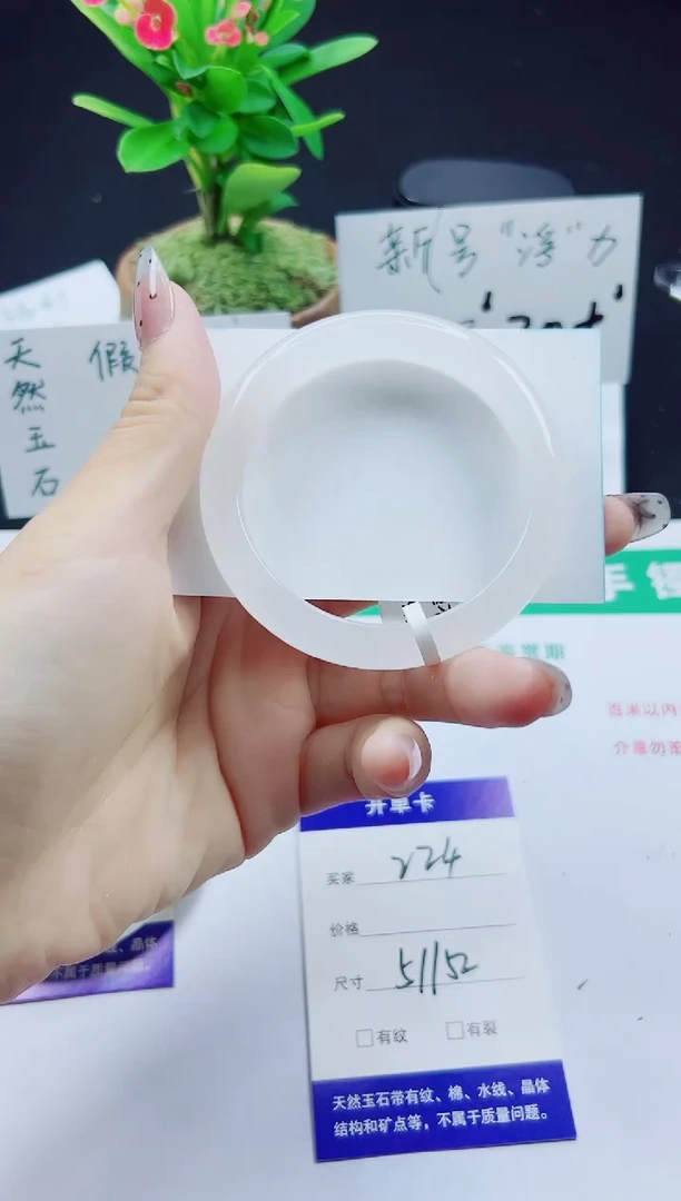未镶嵌手镯石英质玉224-51/52