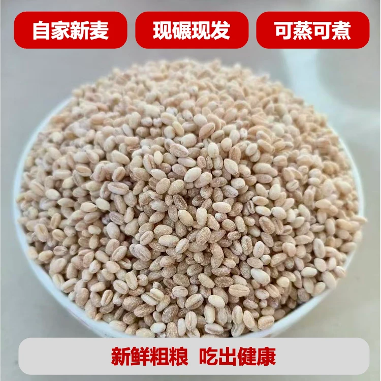 去皮麦仁煮粥全麦粗粮带麦芽新鲜买入现磨2024河南新麦五谷杂粮