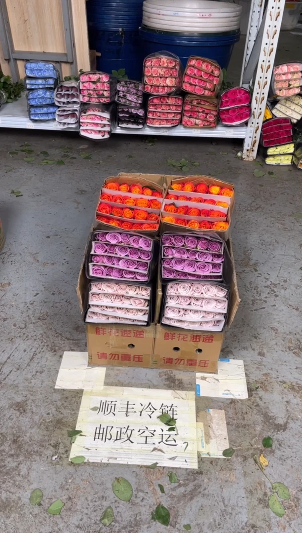 曼塔20枝+紫霞20枝+火焰之心20枝