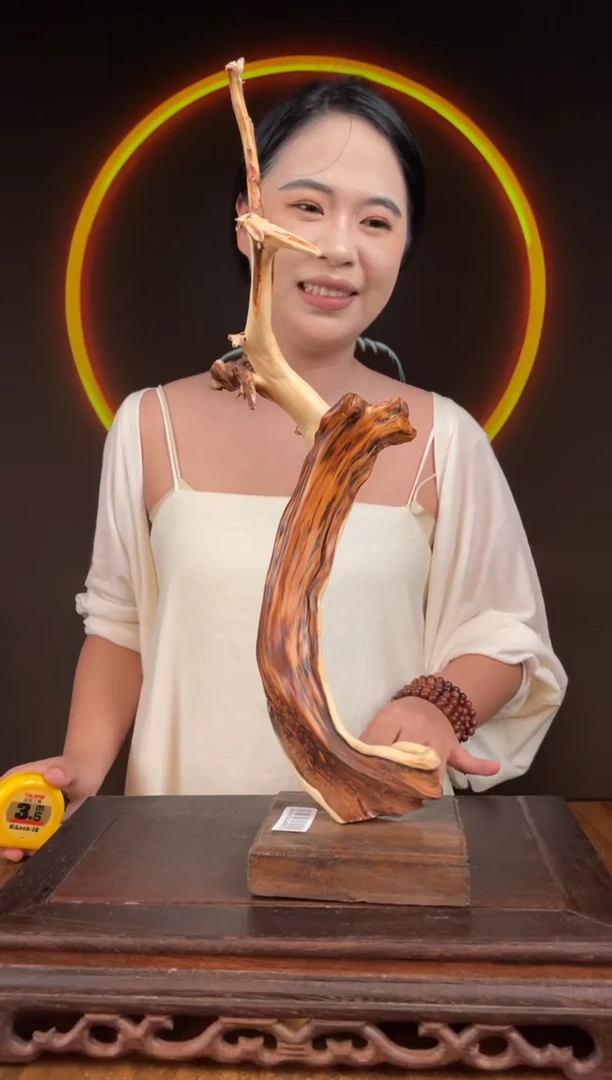 柏木（崖柏）手工摆件,先抢先得! 编号:101