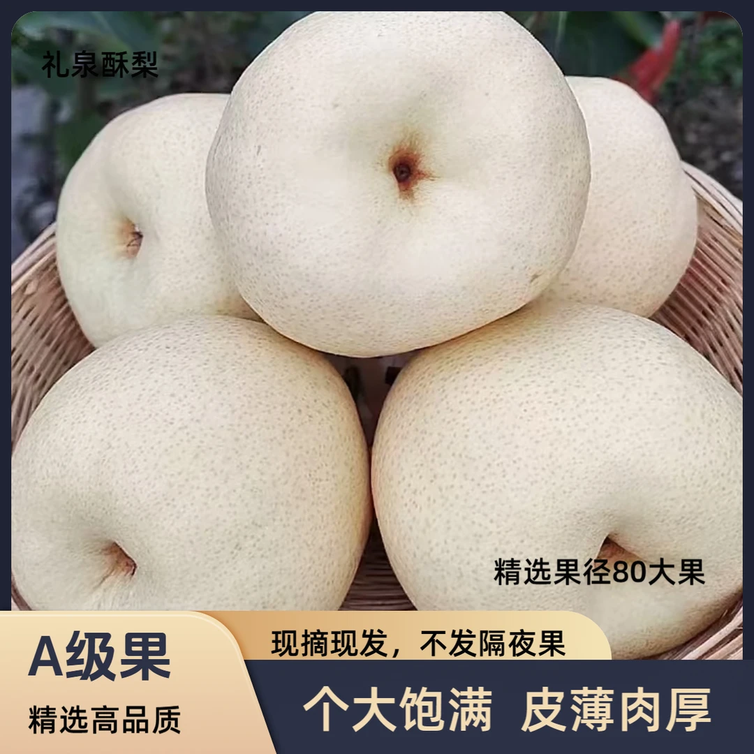 正宗陕西礼泉酥梨当季现摘皮薄脆甜多汁水果净重10斤