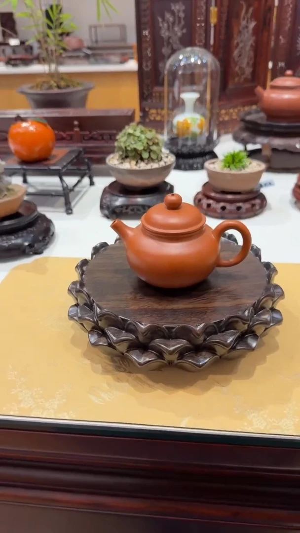 紫砂1紫砂紫砂紫砂紫砂紫砂