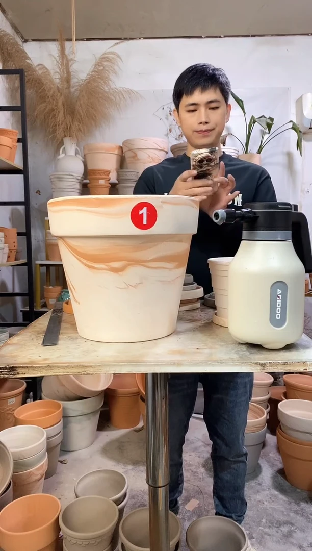 30*27玛奇朵 1盆无托