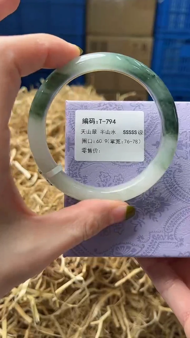 未镶嵌手镯石英质玉T794