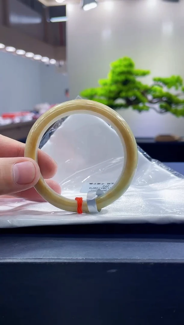 未镶嵌手镯翡翠6