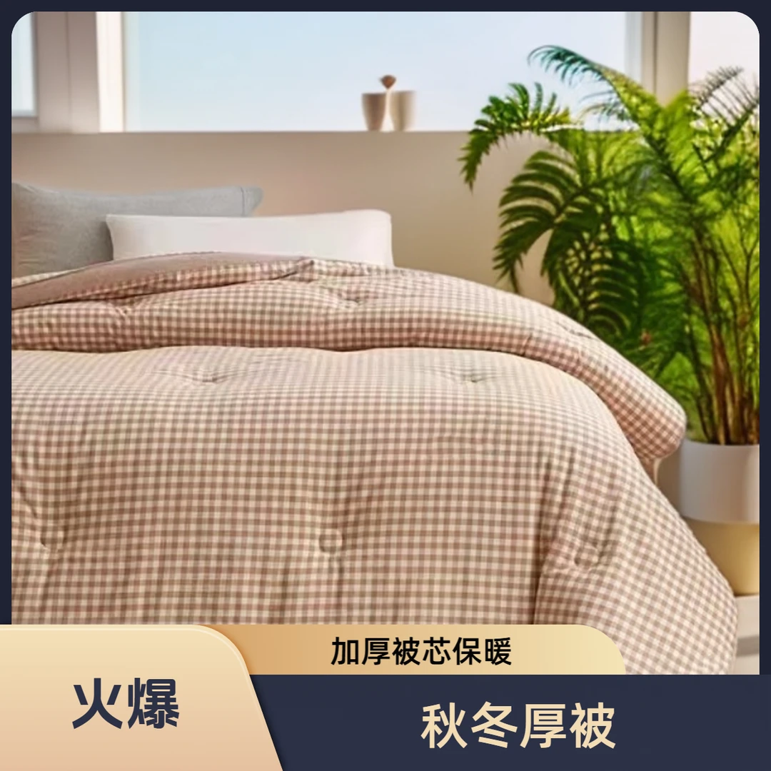 无印风超柔大豆纤维被秋冬被冬季加厚被芯--颜色都好看