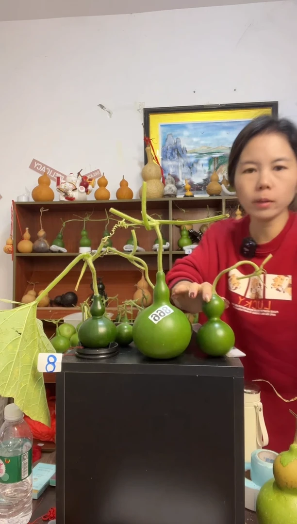 2****星866天然葫芦摆件 一物一拍龙头不保售后两个带一个