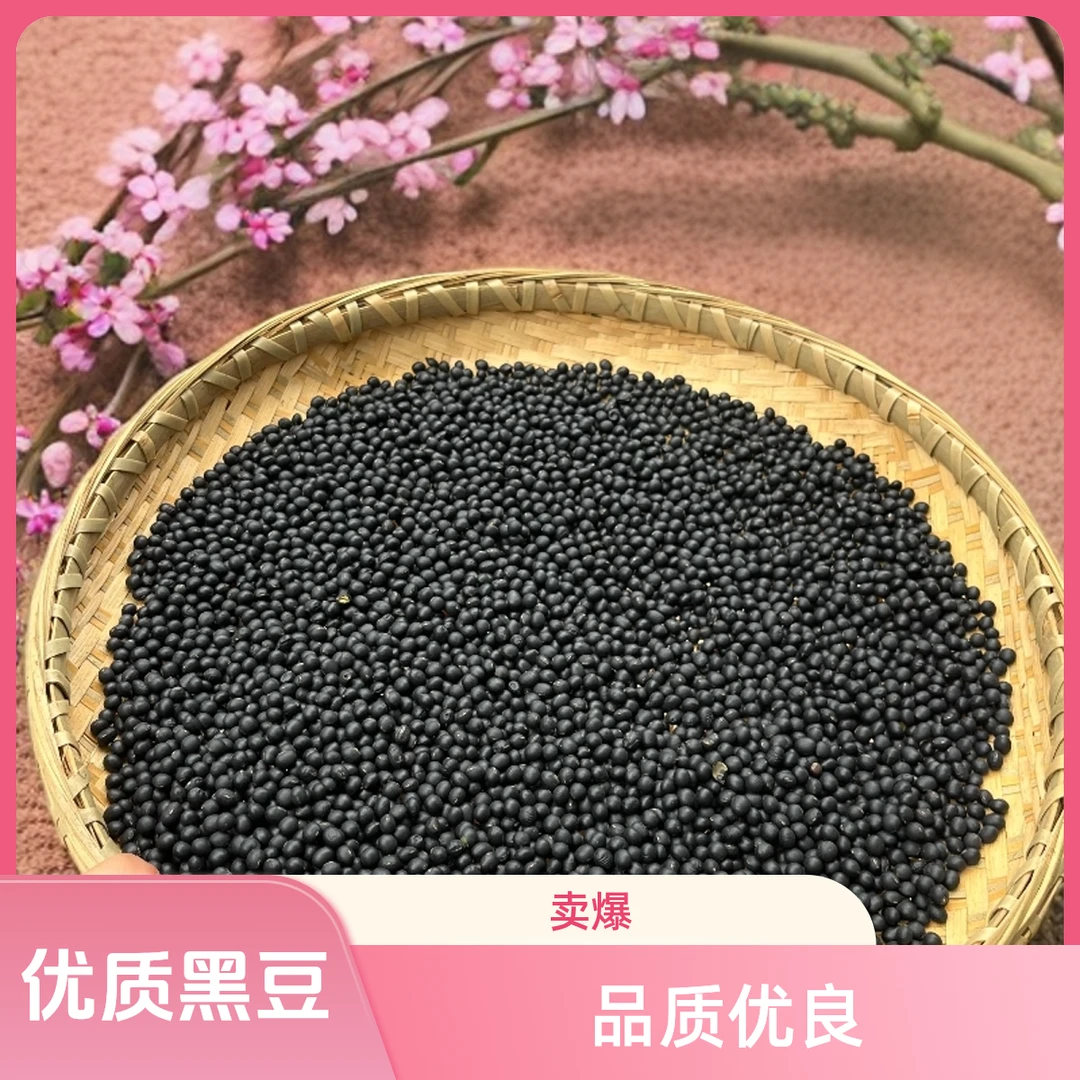 优质绿心黑豆农家新货可打豆浆发豆芽炖汤的五谷杂粮