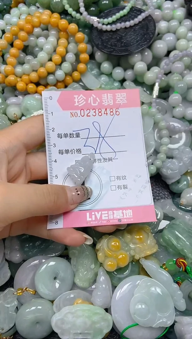 翡翠未镶嵌颈饰闪购0238486