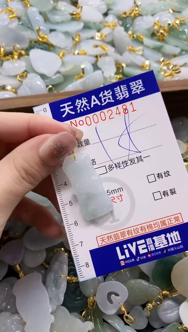 颈饰未镶嵌翡翠天然A货翡翠