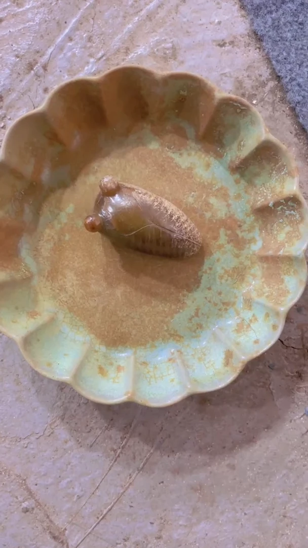 【闪购商品】瓷片手工，手绘，瓷器