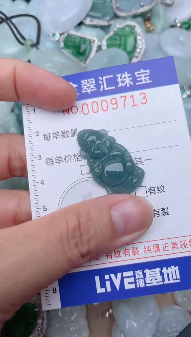翡翠未镶嵌颈饰9713