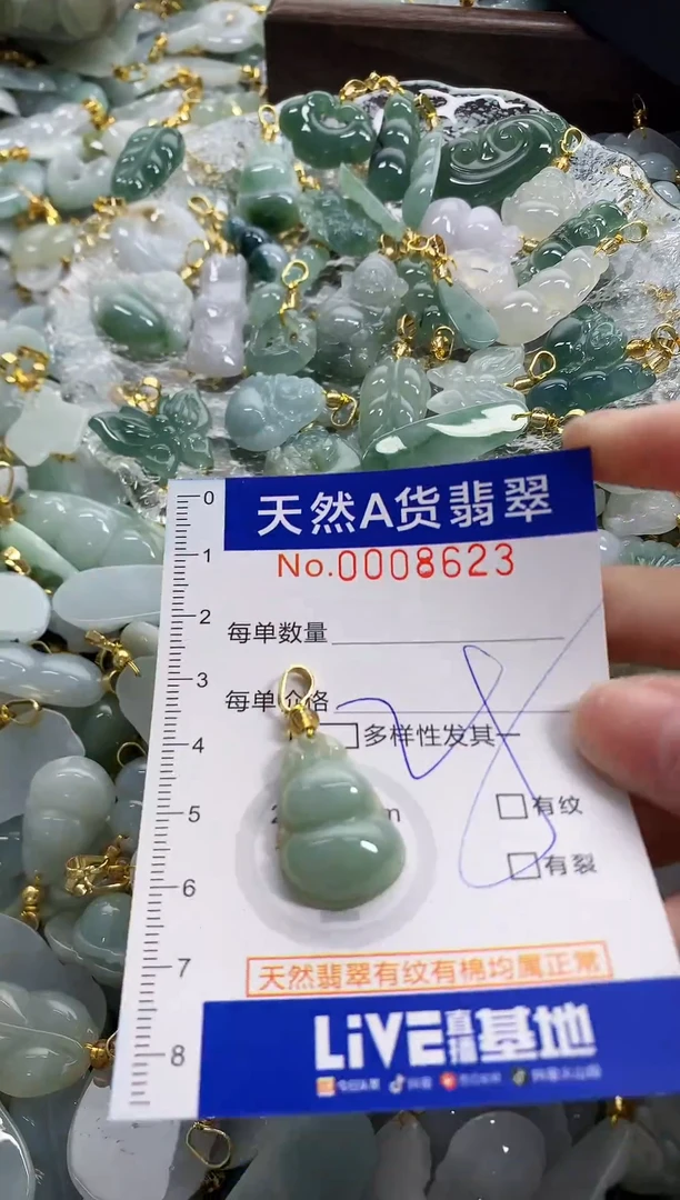 颈饰未镶嵌翡翠天然A货翡翠