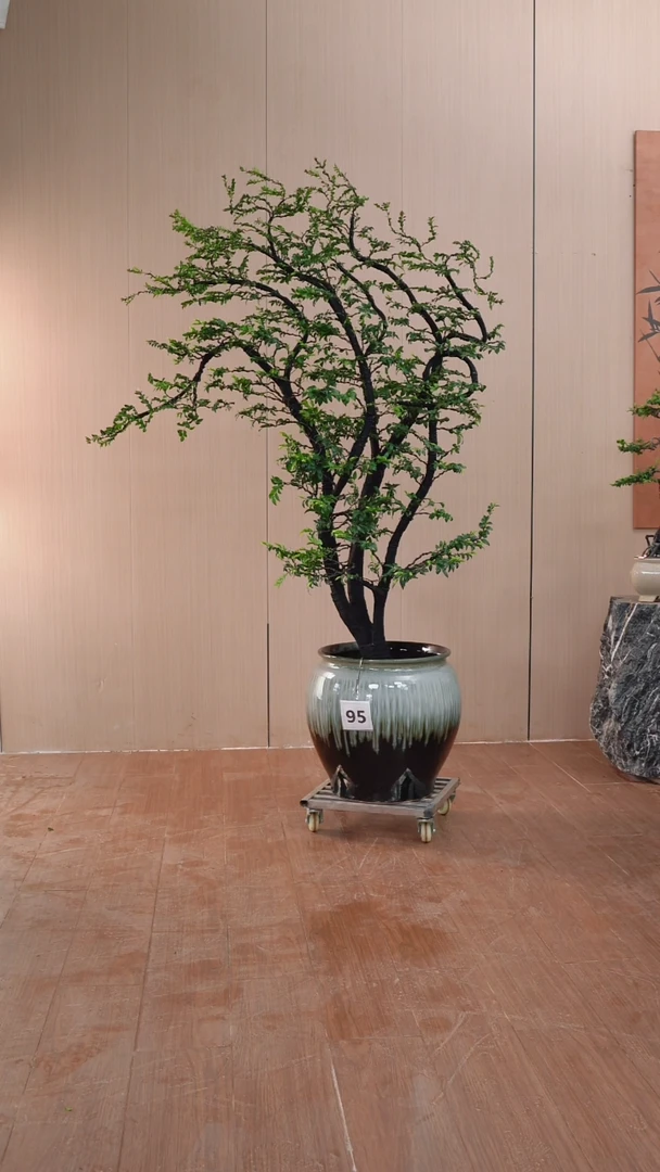 【闪购商品】95号链接