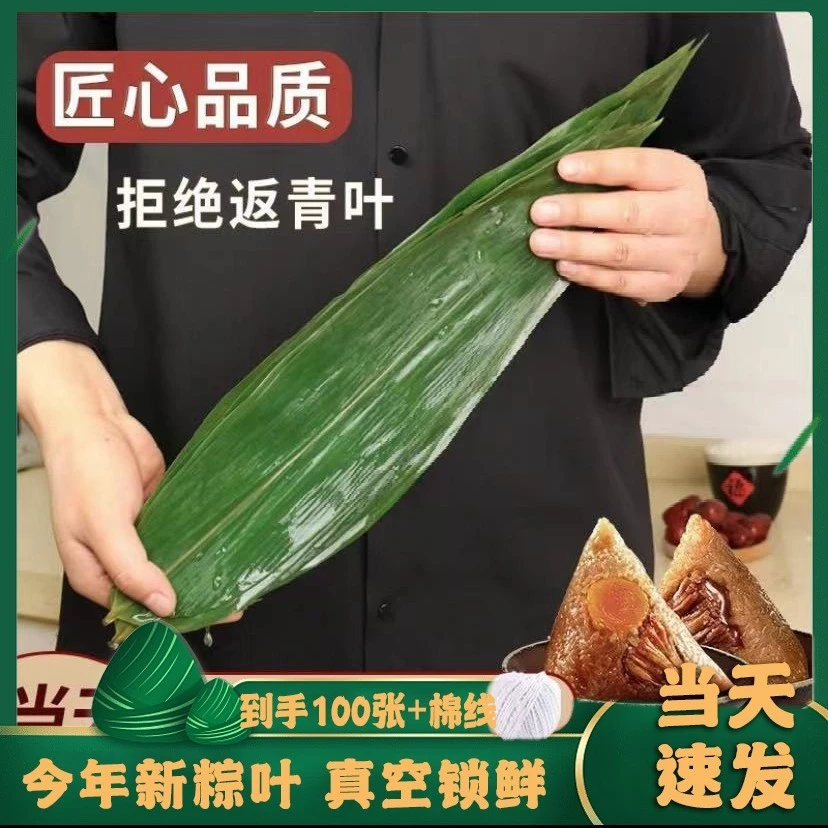 新鲜粽叶真空包装端午节包粽子专用50片1包