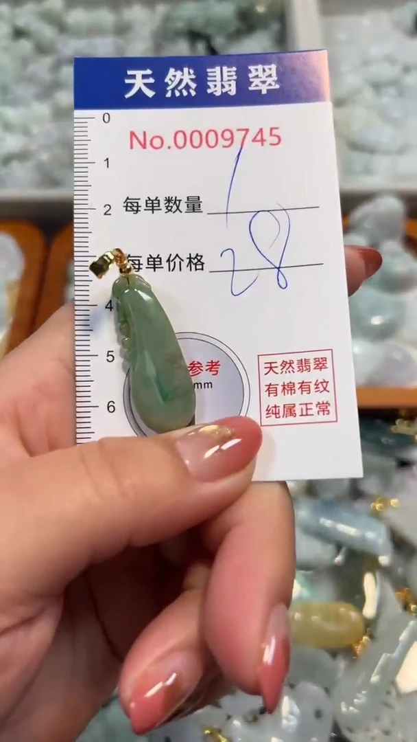 翡翠未镶嵌吊坠(不含链)9745
