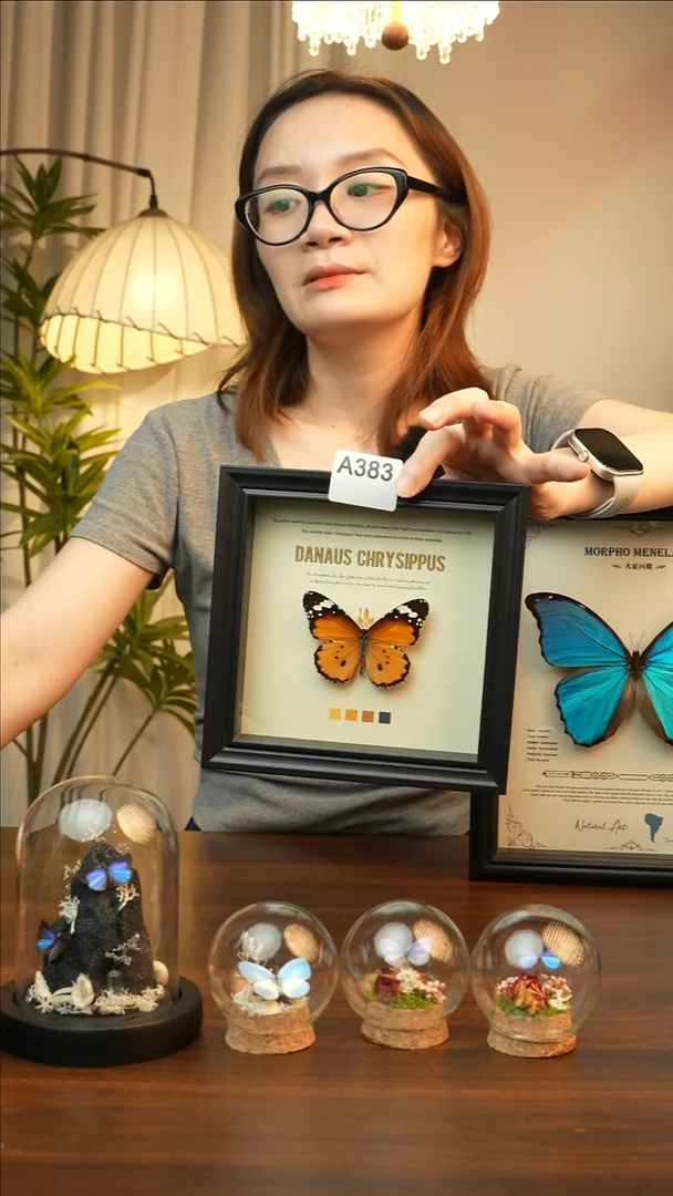 金斑蝶-（6寸方黑色新款框）A383