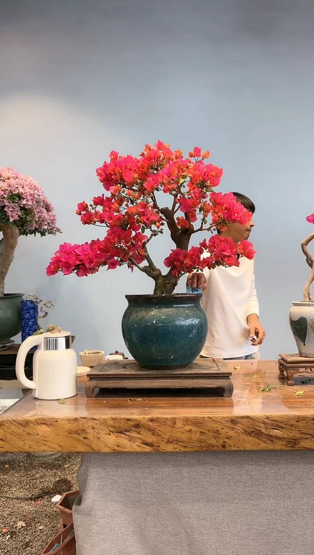 【闪购商品】aa932