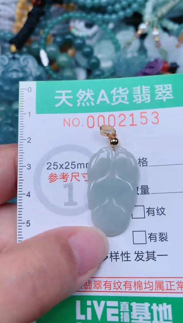 颈饰未镶嵌翡翠.0002153