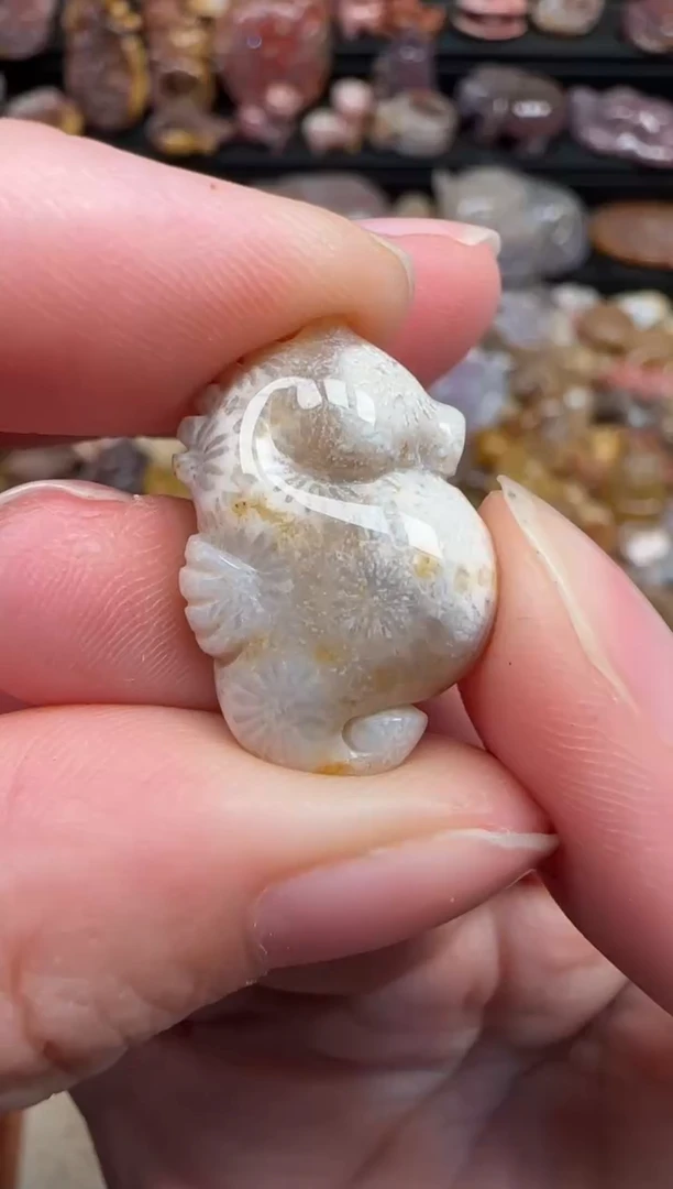 颈饰未镶嵌硅化珊瑚（珊瑚玉）293