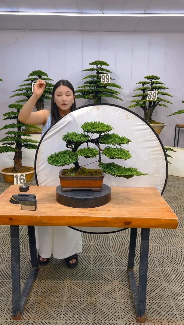 无花朵一物一拍一物一拍