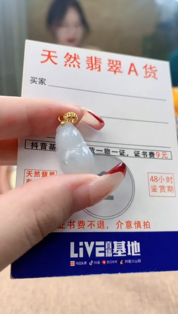 颈饰未镶嵌翡翠 天然A货翡翠挂件