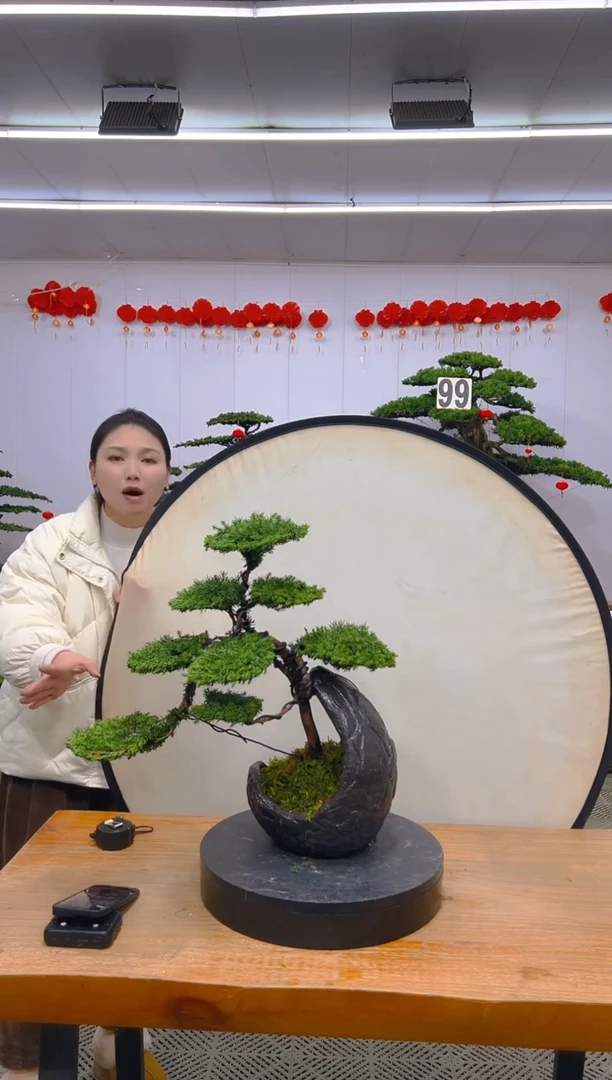 【闪购商品】盆景1