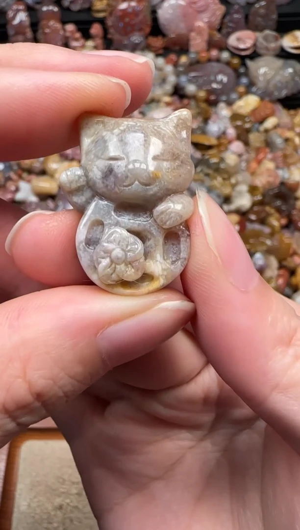 颈饰未镶嵌硅化珊瑚（珊瑚玉）802