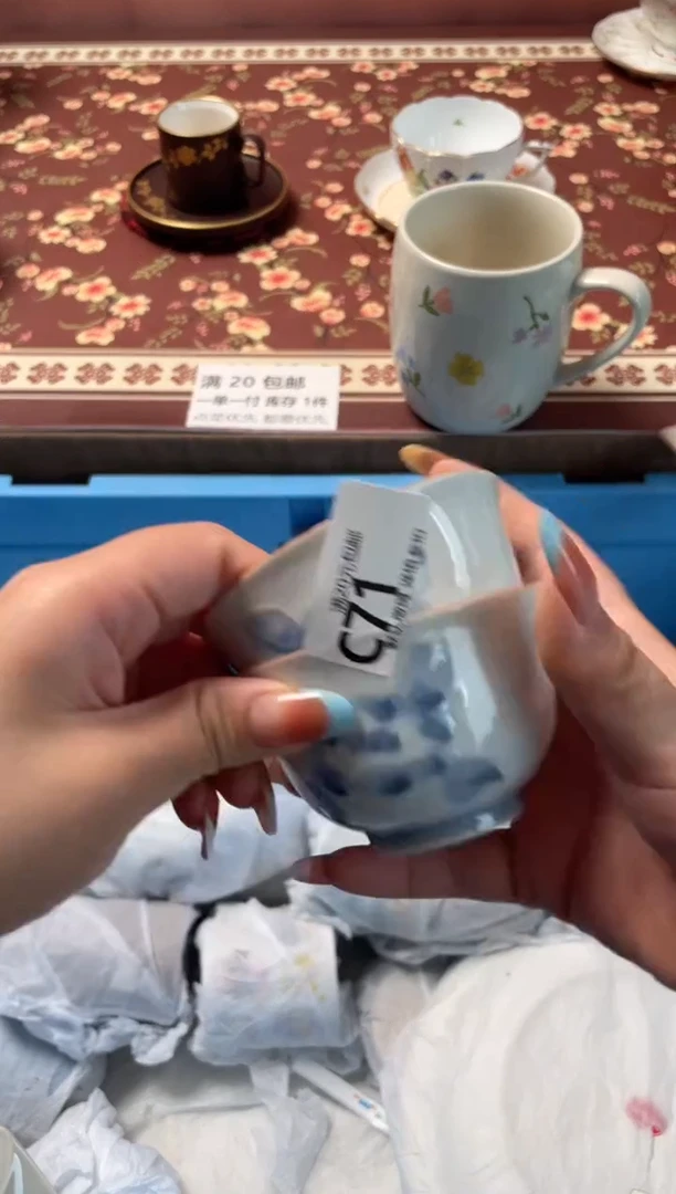 瓷片阳***雪瓷器瓷器C71