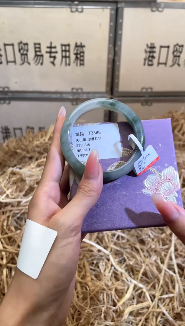 未镶嵌手镯石英质玉T3888