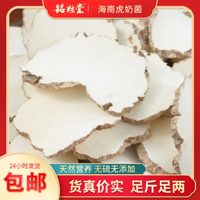 海 南 虎  奶  菌