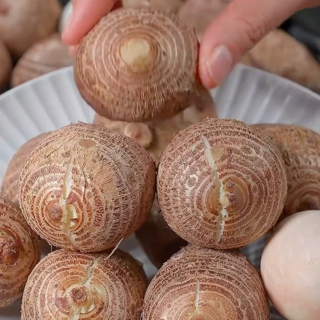 【汇鲜萃】山东牛奶毛芋小香芋头粉糯芋头产地直发