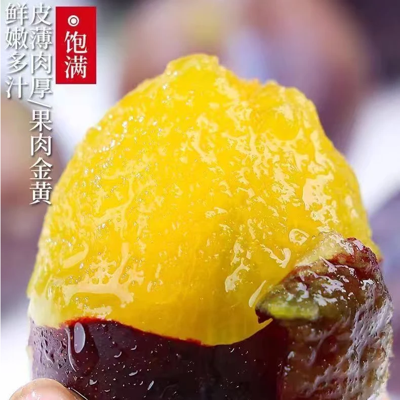 【5斤装】【顺丰包邮】蓝蜜西梅树上熟甘肃蓝蜜西梅顺丰包邮
