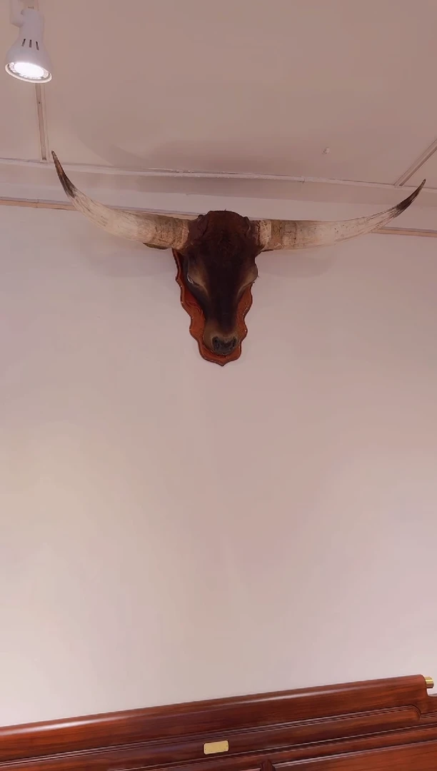 大牛头摆件挂件超真实形象