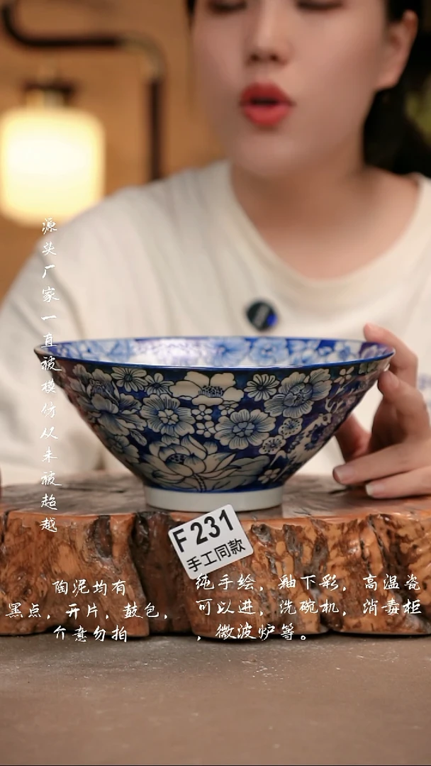 其他F231 新十二器