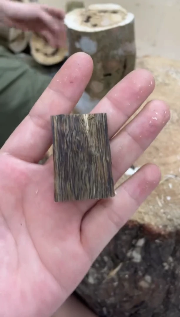 沉香沉香碎屑棋楠沉香 原料文创1