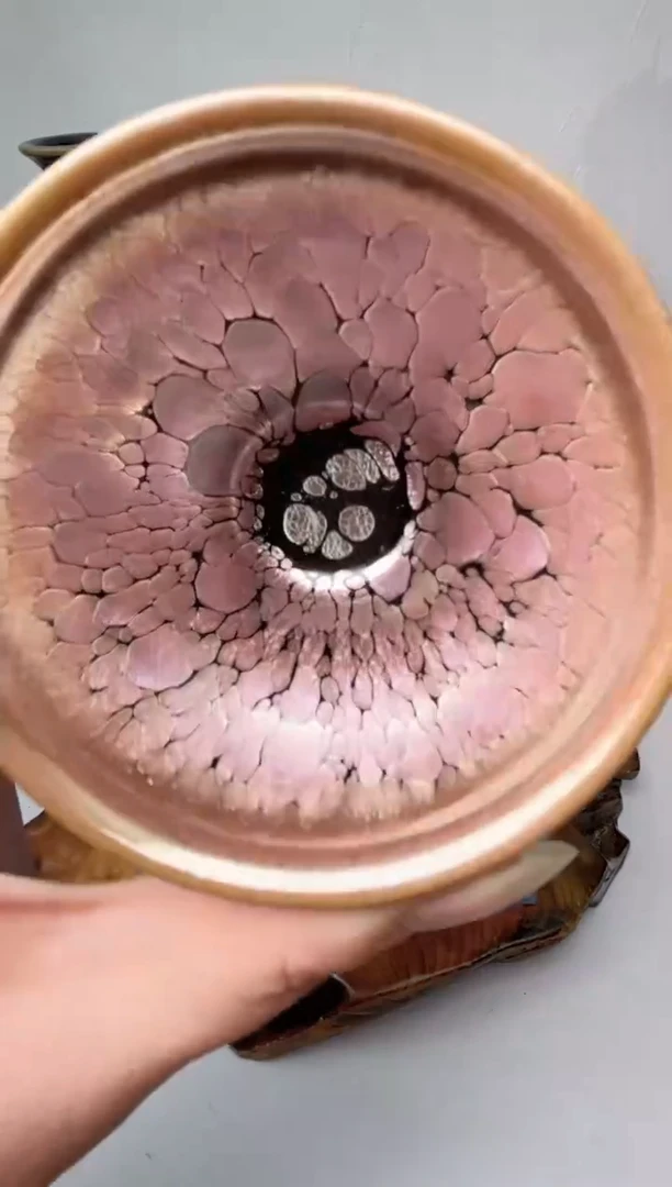 茶盏春申阁福利1只冠军