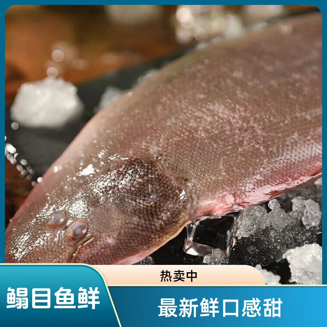 新鲜鳎目鱼