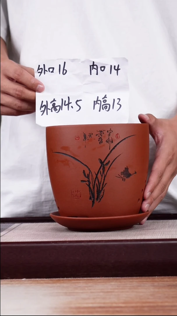 紫砂花盆清水泥君子兰2号一只带托