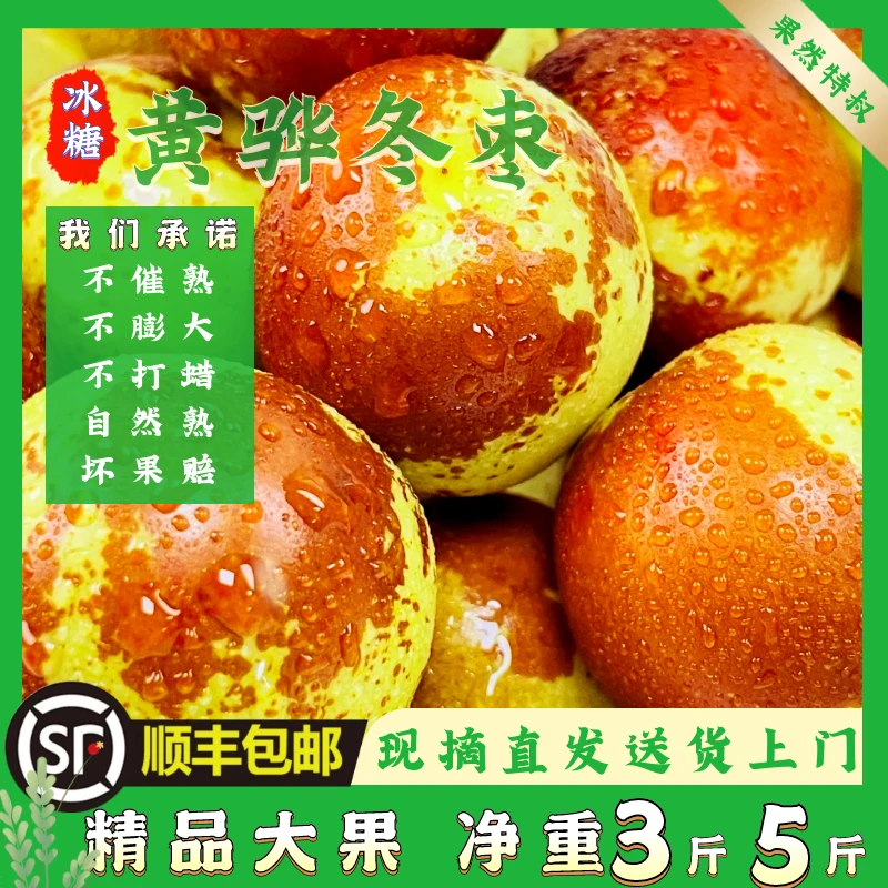 DX顺丰包邮正宗黄骅冬枣现摘直发新鲜脆甜多汁脆冬枣冰糖冬枣特产