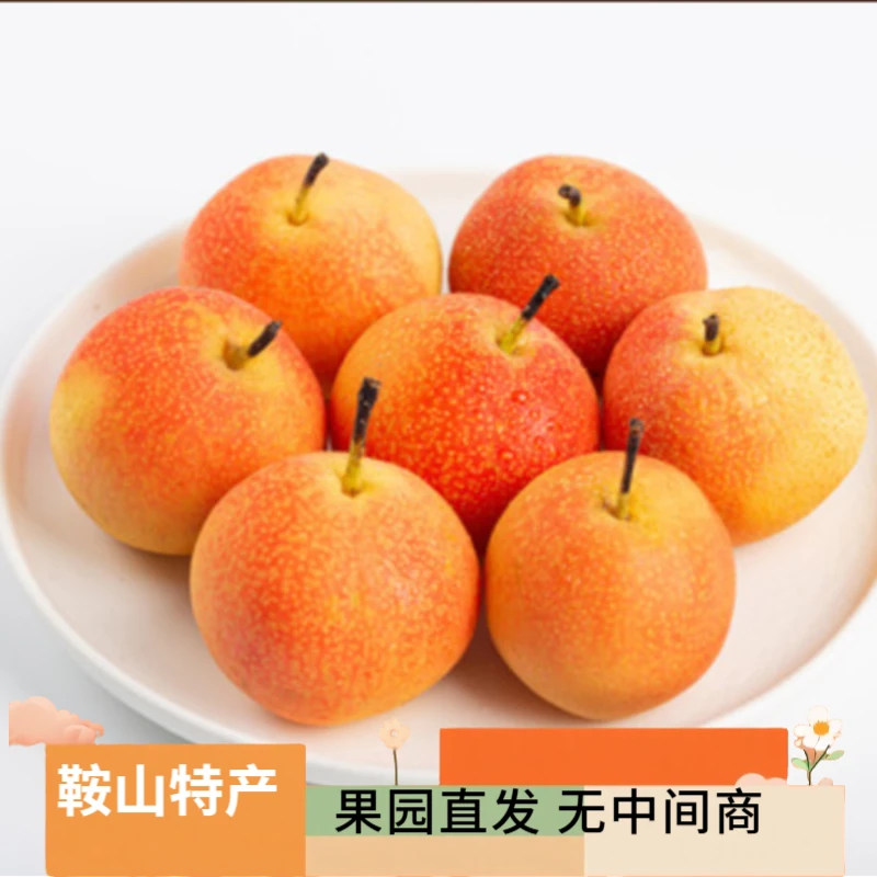 正宗鞍山特产南果梨脆甜多汁当季新鲜水果中秋礼盒装