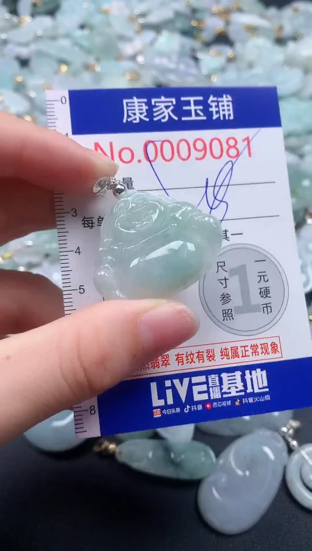 颈饰未镶嵌翡翠9081