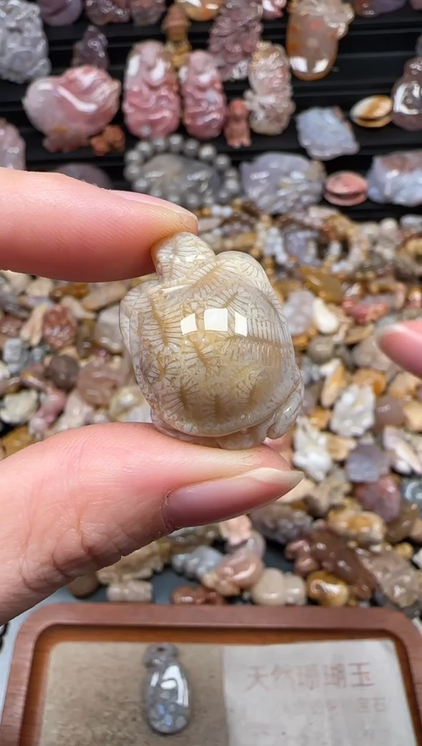 颈饰未镶嵌硅化珊瑚（珊瑚玉）252