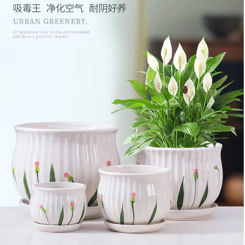 大号陶瓷多肉花盆中号特大家用简约带托盘创意绿萝吊兰多肉小花盆
