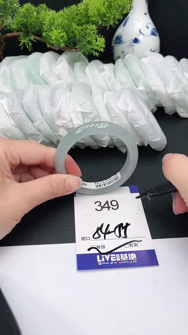 未镶嵌手镯翡翠349